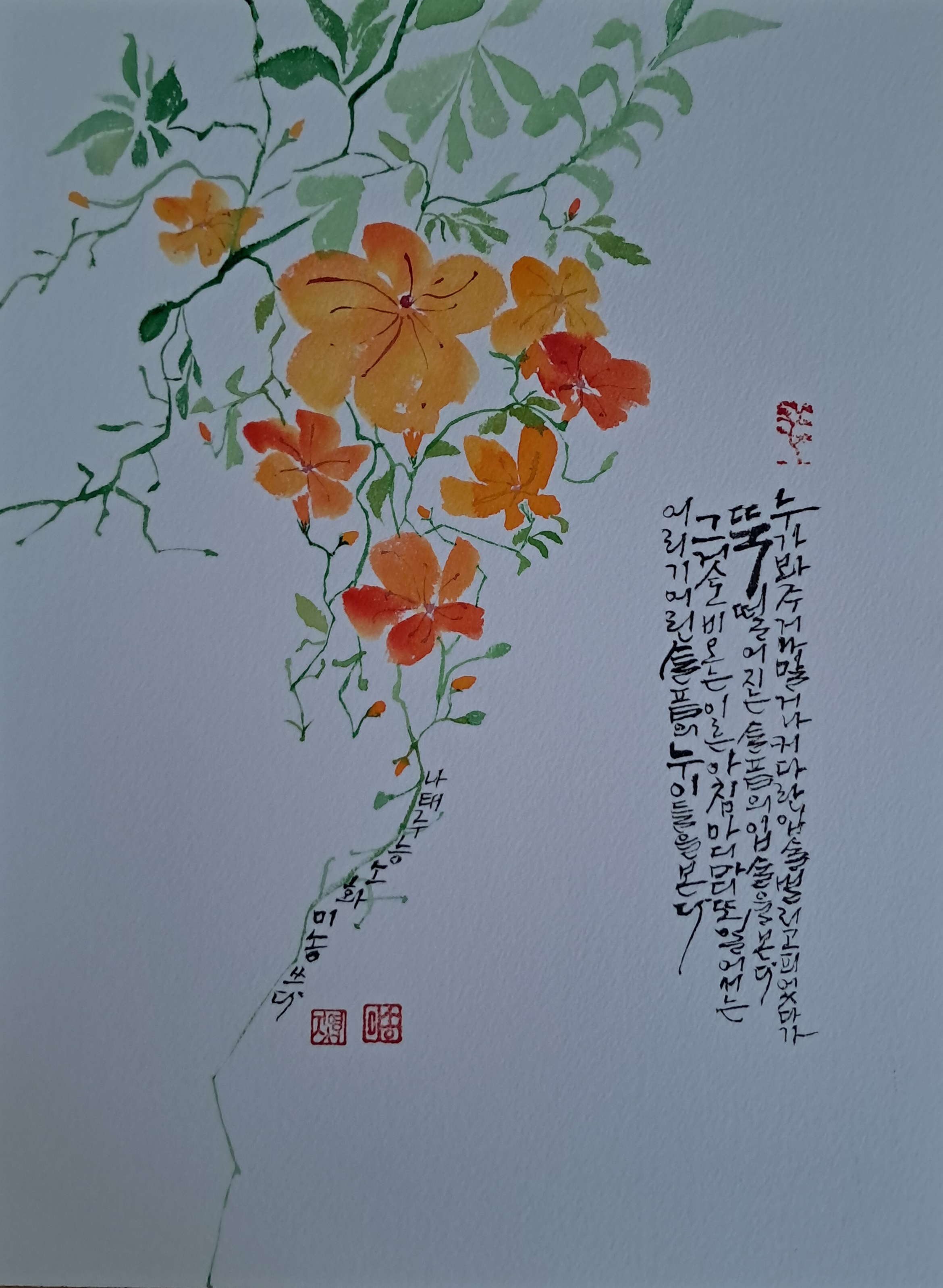 능소화