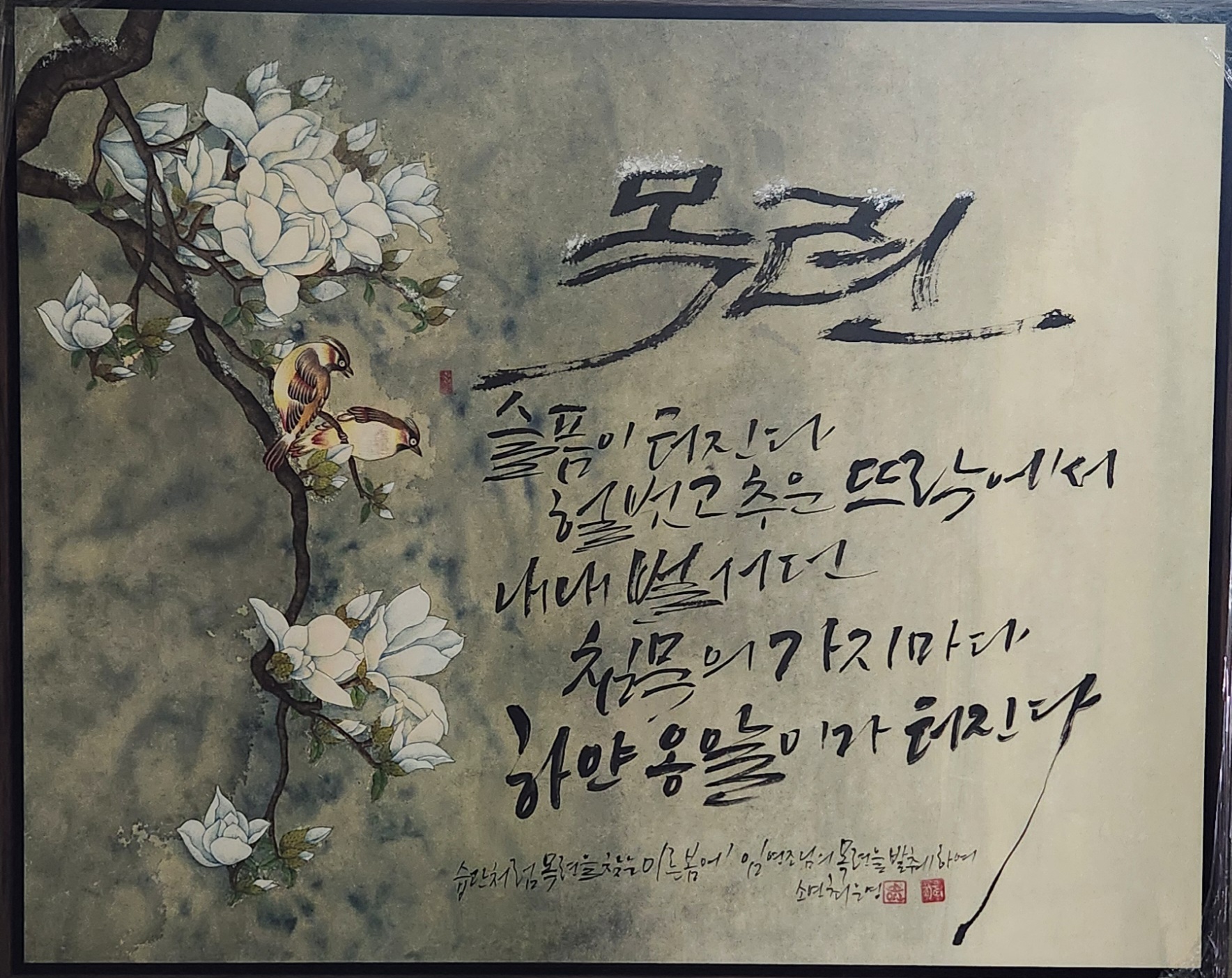목련